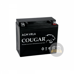 Аккумулятор Cougar 30 (YTX30L-BS)